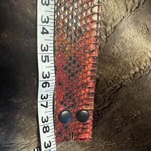 Snaks skin belt with no buckle.